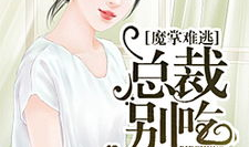 娱乐圈吃瓜小说大合集全文阅读,大合集里的瓜田秘事