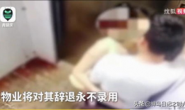 夫妻亲热视频,温馨浪漫的亲密时光